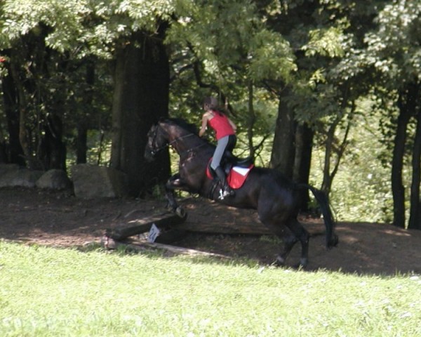 Cross drha