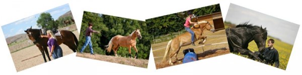 Horsemanship - text