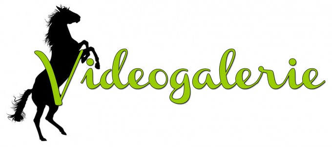 Videogalerie
