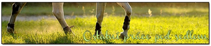 Ostatn prce pod sedlem