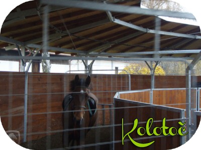 Koloto