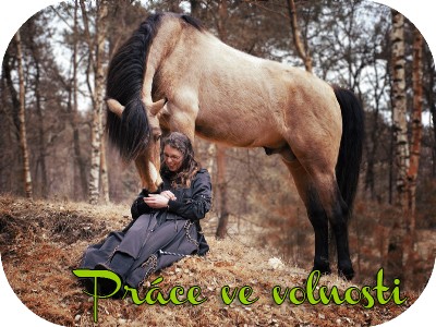 Prce v kruhovce