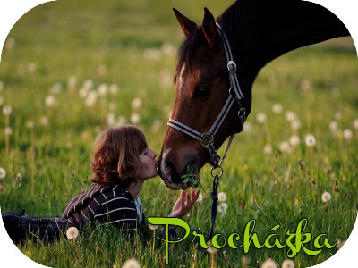 Prochzka