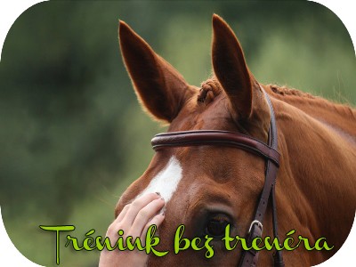 Trnink bez trenra