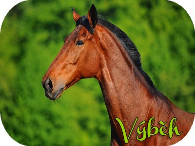 Vbh