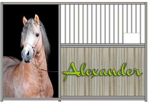Alexander