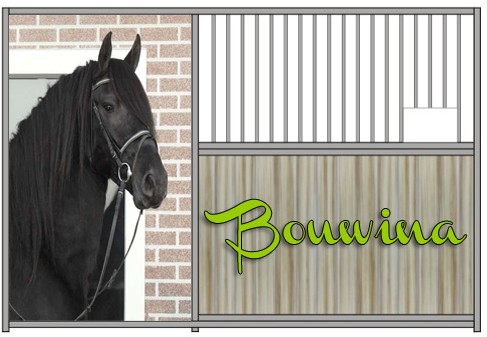 Bouwina