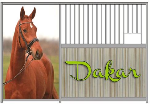 Dakar
