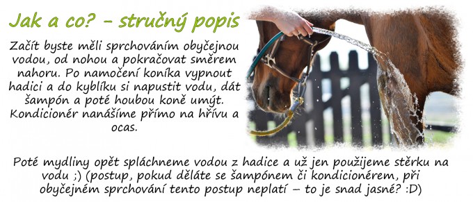 Koupn 3