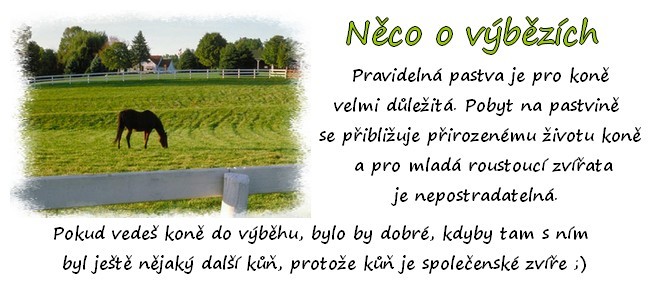 Nepojmenovan 11