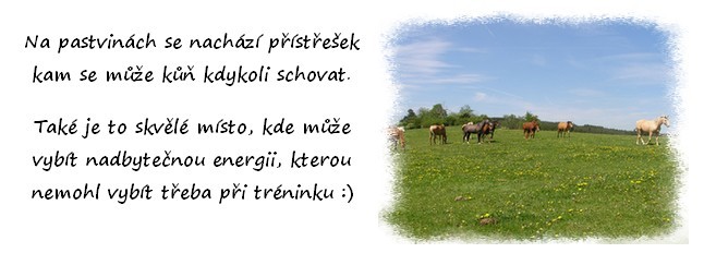 Nepojmenovan 12