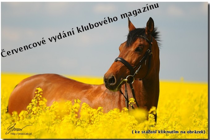 Nepojmenovan 3