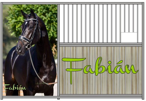 Fabin
