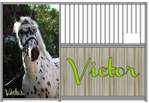 Victor