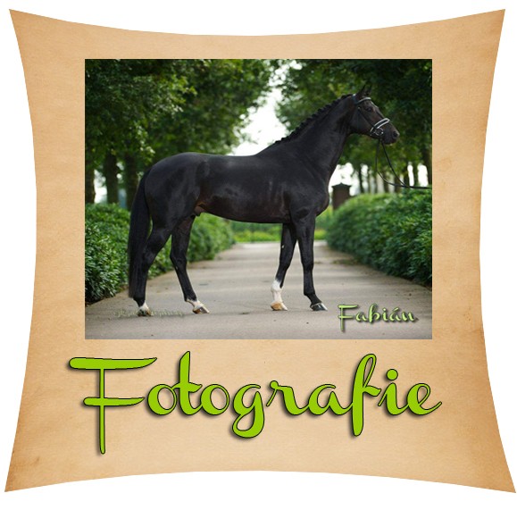 Fabin