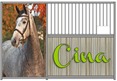 Cina