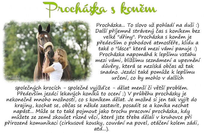 Prochzka1