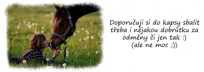 Prochzka3