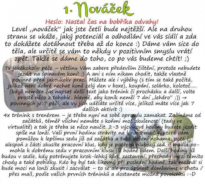 Novek1