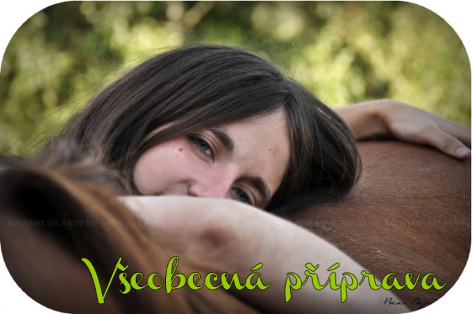 Veobecn