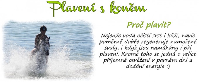 Plaven1