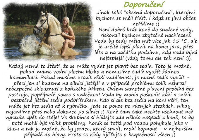 Plaven3
