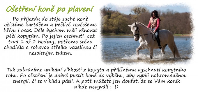 Plaven4
